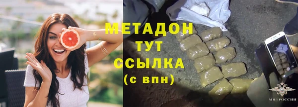 гашик Алексин