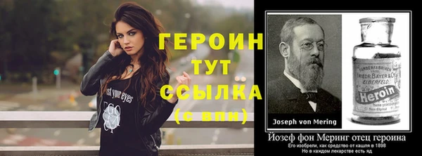 гашик Алексин