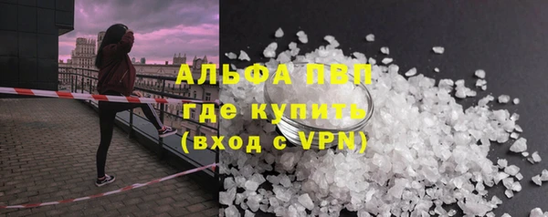 гашик Алексин